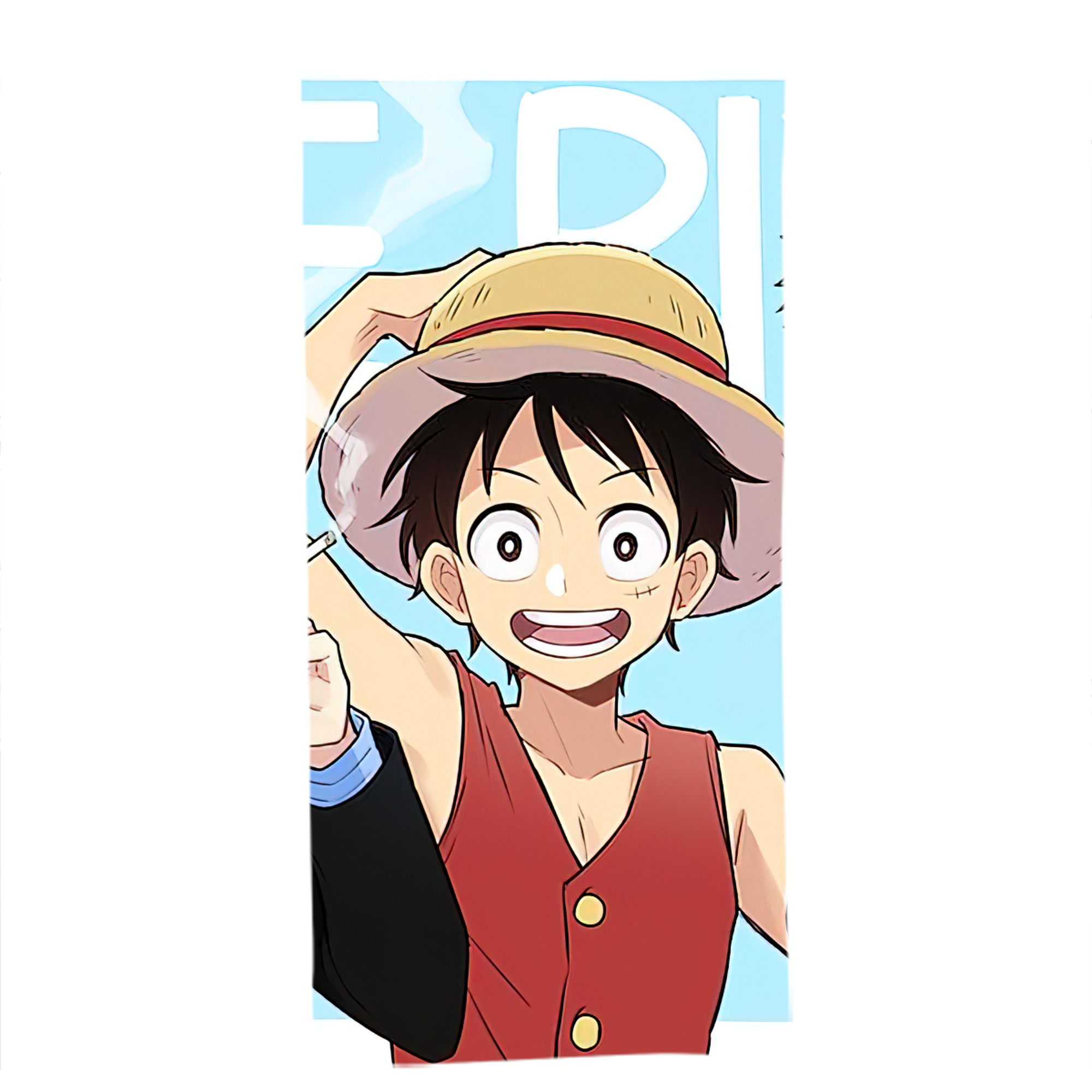 （画像用） ワンピース ONE PIECE 大判バスタオル 70×140cm 吸水速乾 柔らかい肌触り