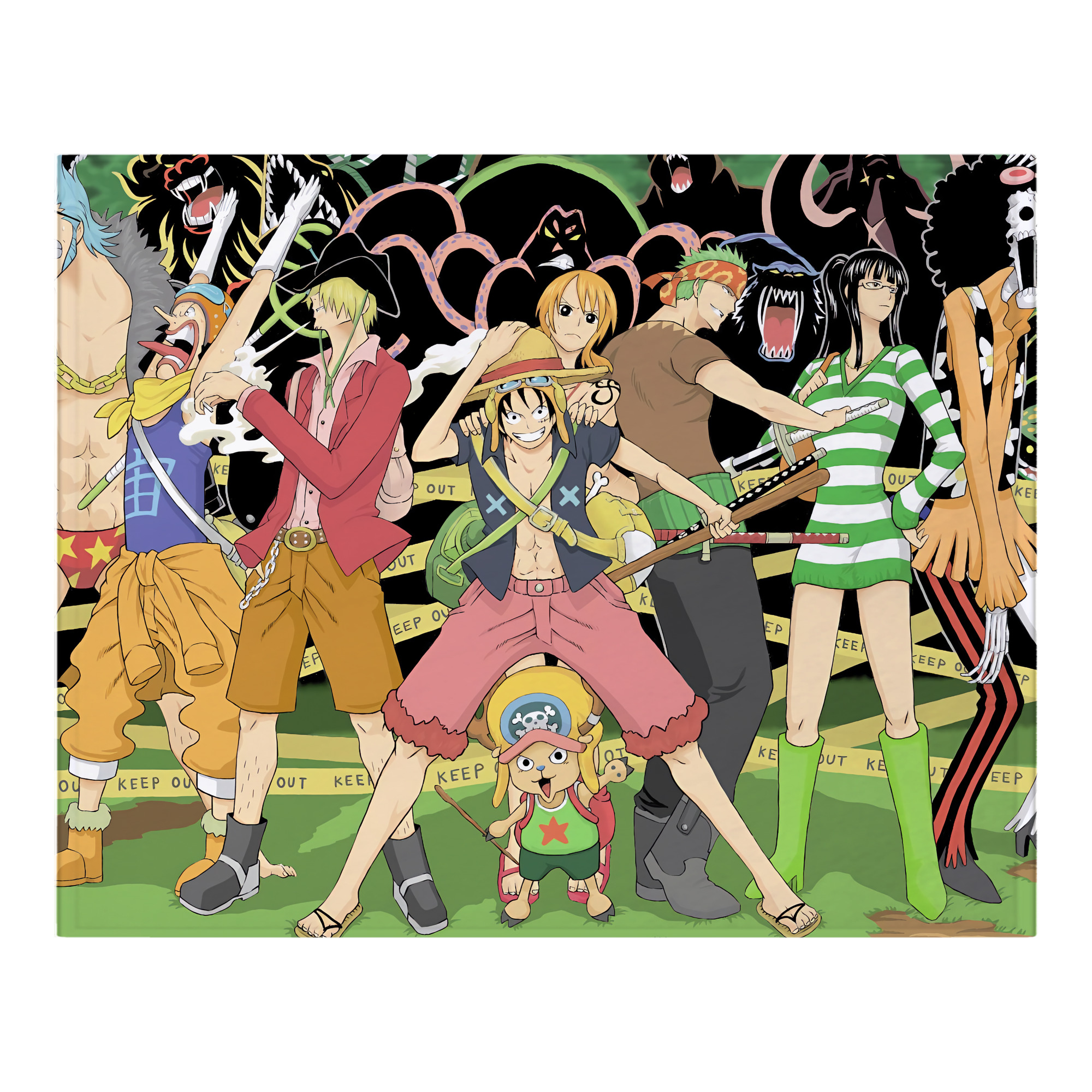 （画像用） ワンピース ONE PIECE フランネルブランケット・多サイズ対応（横型）