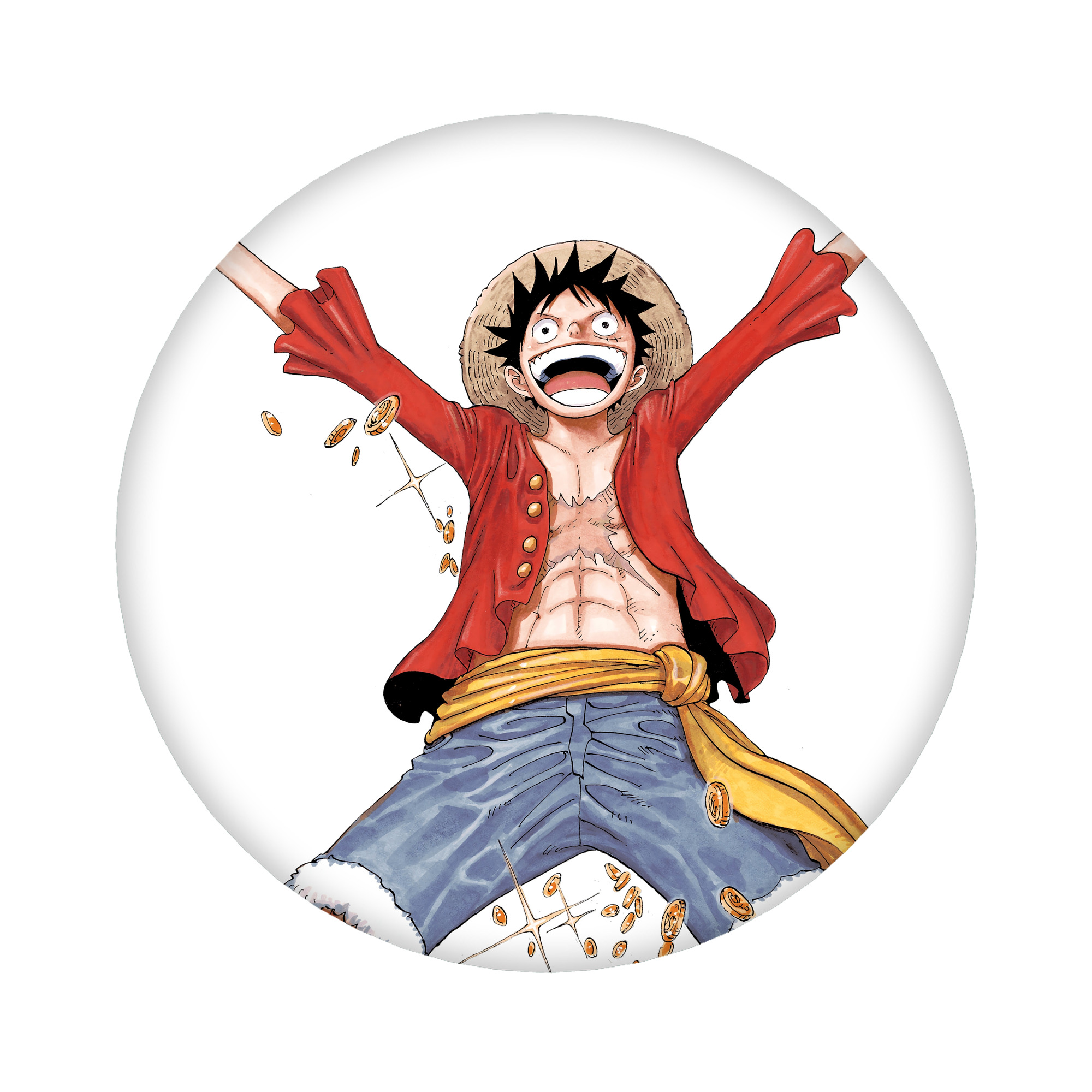 （画像用） ワンピース モンキー・D・ルフィ ONE PIECE Monkey D. Luffy 6cm 缶バッジ 複数セット